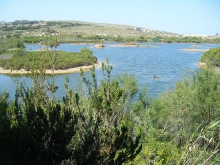 ghadira nature reserve