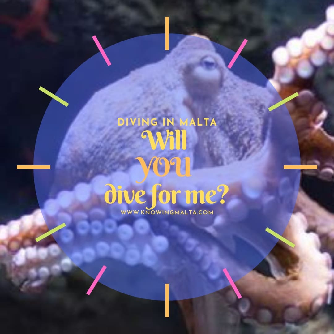 scuba diving gozo octopus